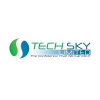 Tech Sky Limited image 2